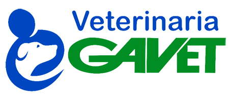 Clinica veterinaria Gavet - Puente Piedra