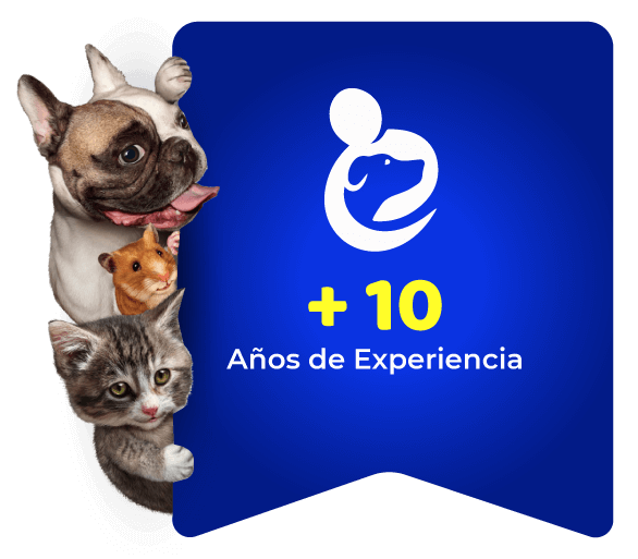 Mas de 10 años de experiencia en veterinaria gavet