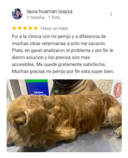 Testimonio de clientes de veterinaria GAvet