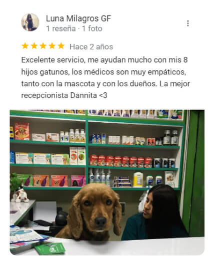 Testimonio de clientes de veterinaria GAvet