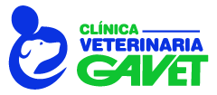 Clínica Veterinaria Gavet