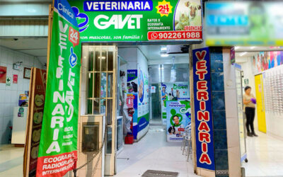Veterinaria 24 horas: Atención oportuna y especializada para urgencias veterinarias